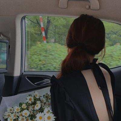 阿德尔曼夫妇