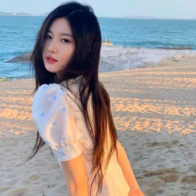 认识狗狗