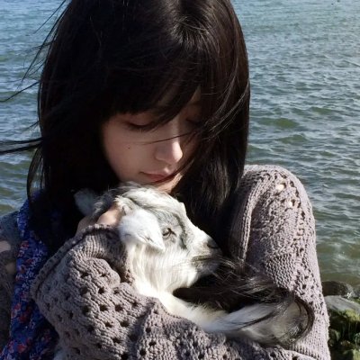 白狼